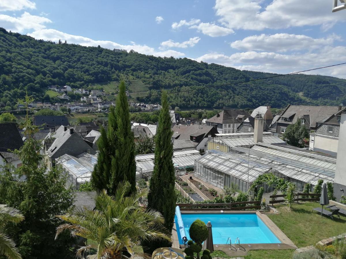 Hotel Weingut Stiftshof Enkirch Esterno foto
