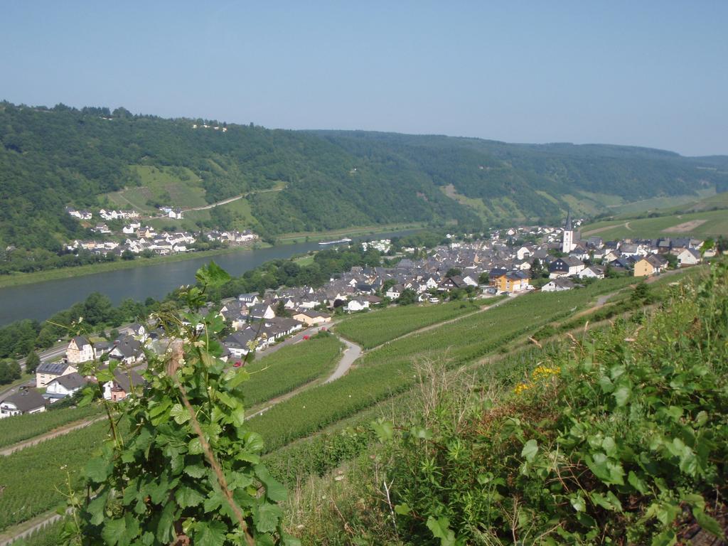 Hotel Weingut Stiftshof Enkirch Esterno foto