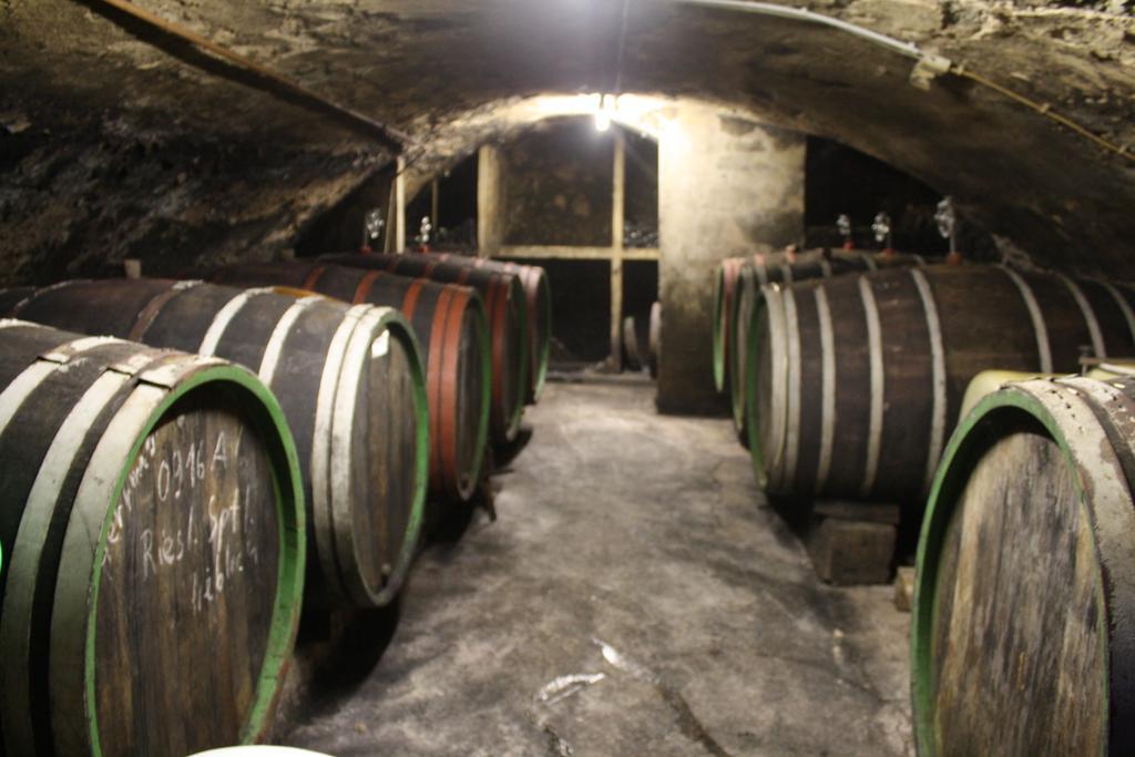 Hotel Weingut Stiftshof Enkirch Esterno foto