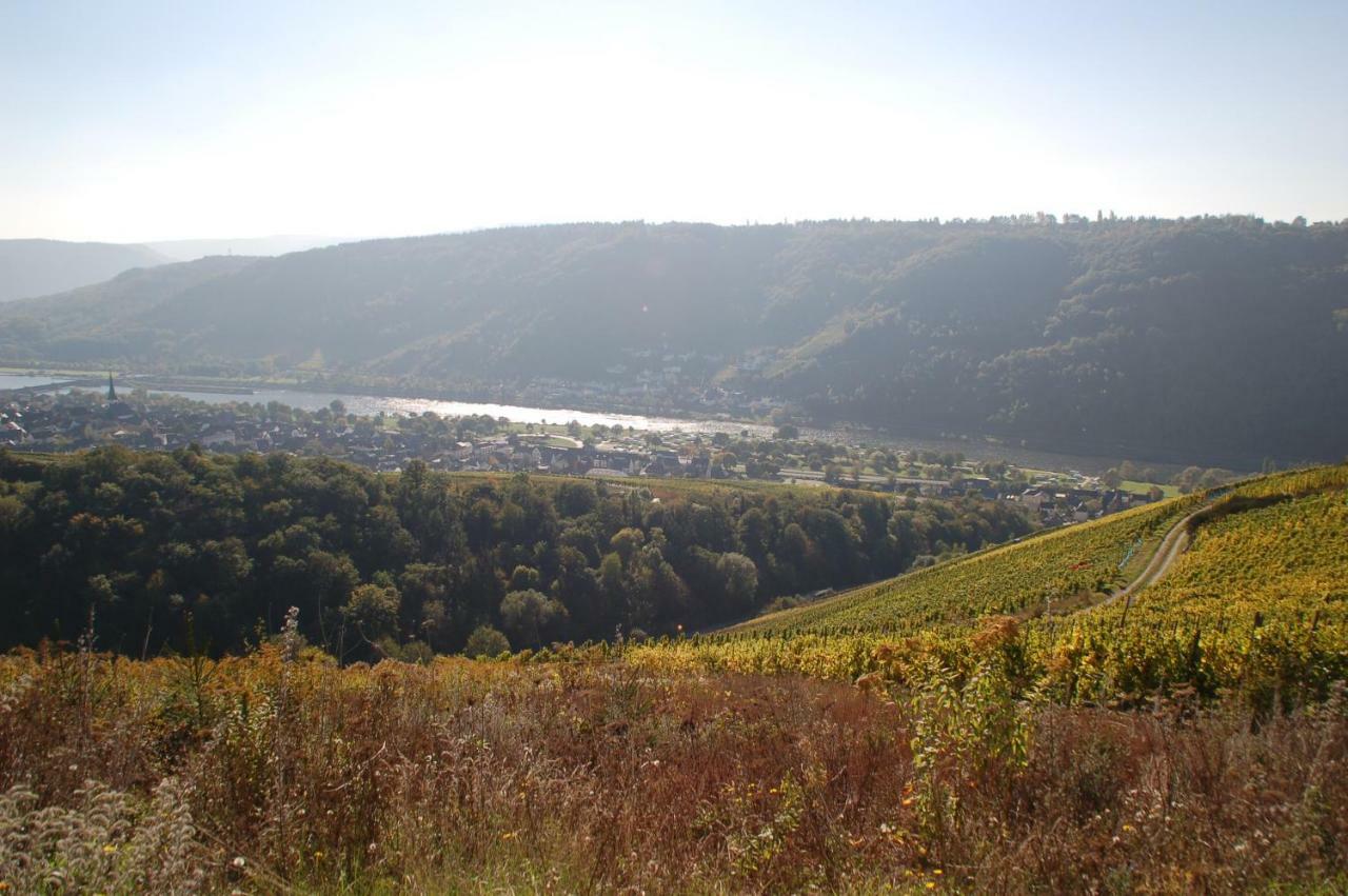 Hotel Weingut Stiftshof Enkirch Esterno foto